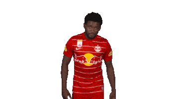 Red Bull Duty Sticker by FC Red Bull Salzburg