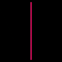 Happy Fun GIF by Plus PPL