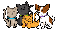 Cats And Dogs Pets Sticker by Weruva