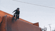 Skate Skating GIF by Surfbort