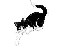 saintfelix Sticker by Purina Felix