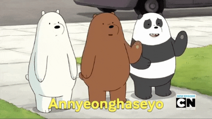 Bling2020 giphyupload korean bow bears GIF