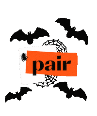 Spider Web Halloween Sticker by Pair Eyewear