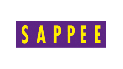 SappeenMatkailukeskus giphyupload sappee Sticker