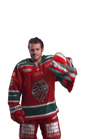 Ice Hockey Hockeyallsvenskan Sticker by MoDo Hockey