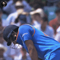 Pakistan Cricket Team Pakistan GIF
