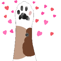 Cat Lady Love Sticker