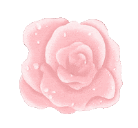 Water Flower Sticker by Fifth & Ninth