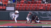 Chase Watkins GIF by Oregon State Baseball