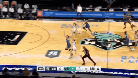 Womens Basketball Block GIF by Basketfem