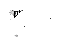 Chrissy Teigen Sunglasses Sticker by Quay Australia