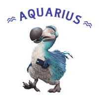 Aquarius Star Sign Sticker by Dodo Australia