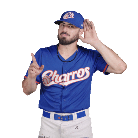 Sport Baseball Sticker by Charros de Jalisco