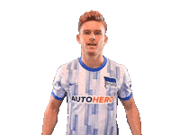 Celebrate Sticker by Hertha BSC