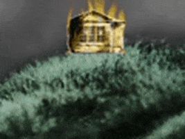 Vintage GIF by jorgemariozuleta