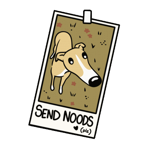 NoodleHorseDoodles giphyupload dog picture flirty Sticker
