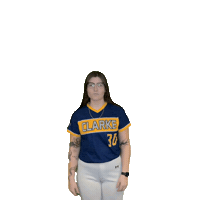 Clarke Softball Sticker by Clarke University
