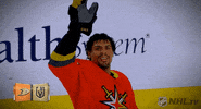 Waving Regular Season GIF by NHL