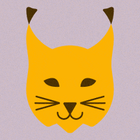 Big Eyes Wow GIF by Ferienluchs