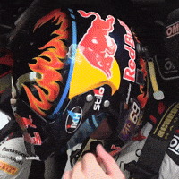 Rally Finland What GIF by FIA World Rally Championship
