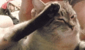 Saluting Rest In Peace GIF