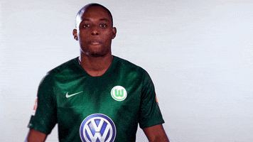 france no GIF by VfL Wolfsburg