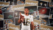 Georgia Tech Football GIF by Georgia Tech Yellow Jackets