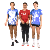 Team Handball Sticker by RK Krim