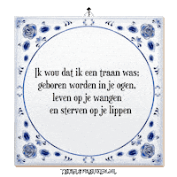 Humor Wijsheid Sticker by Tegelspreuken.nl