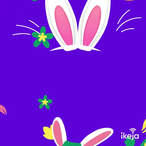 Bunny Rabbit GIF by ikeja