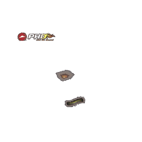 Phd Sticker by PizzaHutID