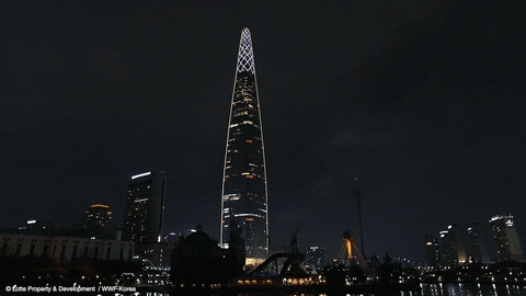 sparkling south korea GIF by Earth Hour