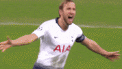 spurs official GIF by Tottenham Hotspur