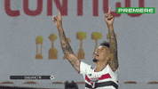Serie A Serieb GIF by Canal Premiere
