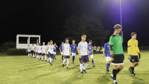 vwu_marlins giphyupload marlins vwu wethebeach GIF