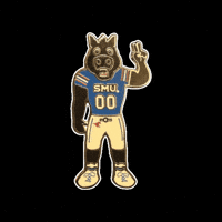 Football University GIF by Pinned Pins