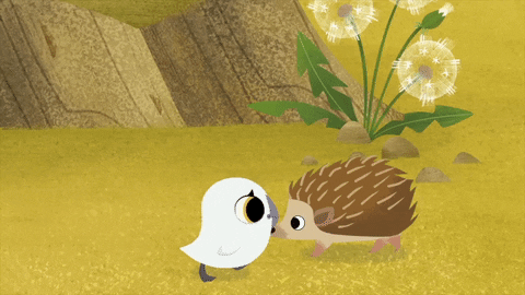 #puffin #rock #puffinrock #bestfriends #baba #spiky #puffin #hoglet GIF by Puffin Rock