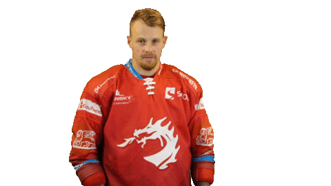 Ice Hockey Sticker Sticker by HC Oceláři Třinec