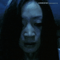 Peter Ho-Sun Chan Horror GIF by Arrow Video