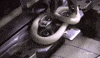 loop dough GIF by Paul Trillo