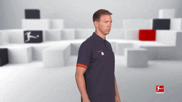Posing Line Up GIF by Bundesliga