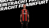 Bundesliga Scream GIF by Eintracht Frankfurt