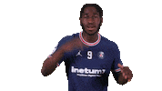 Happy Dance Sticker by Paris Saint-Germain Handball