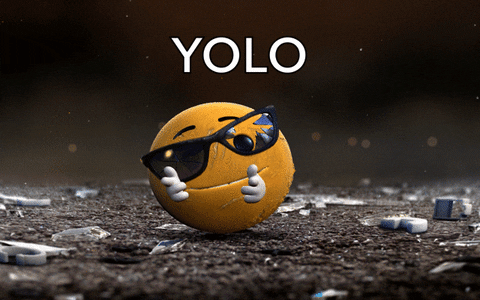 emoji yolo GIF by Moto