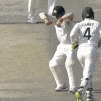 David Warner Explosion GIF