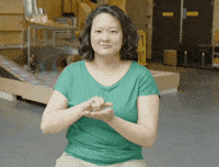 Asl Plane GIF