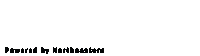 Nuexperience Sticker by Northeastern University