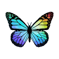 Sticker Rainbow Sticker