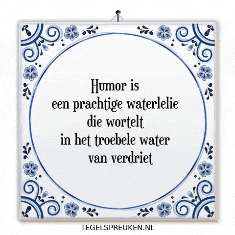 Humor Troost GIF by Tegelspreuken.nl