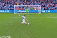 World Cup Fan GIF